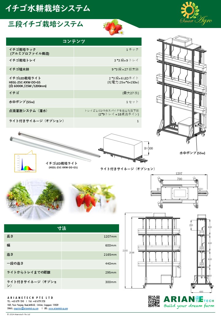 STRAWBERRY RACK